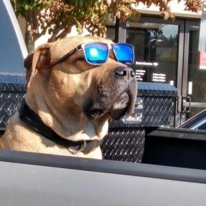 Meet your Posher, Jason